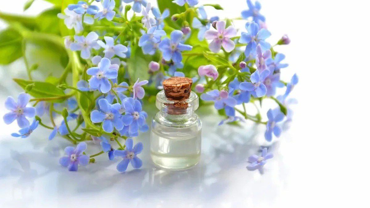 Best Cosmetic Capsule Manufacturer for Private Label Brands